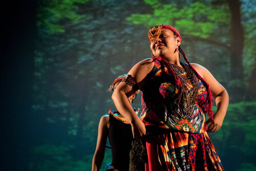 Afro-Sul - FOTO: Bruno Gomes